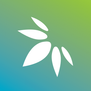 marijuanadoctor, clearwater, 